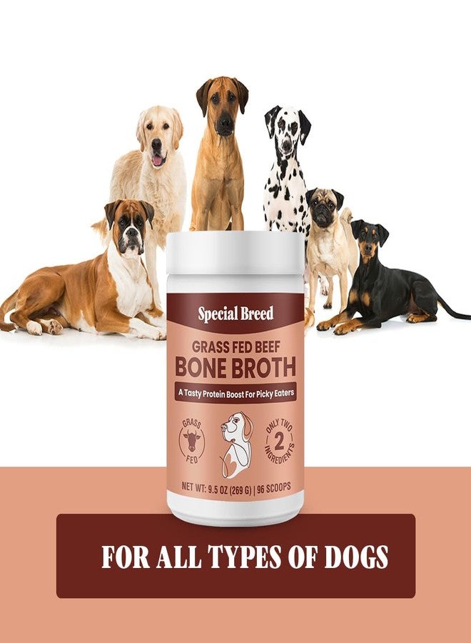 Special Breed Bone Broth Powder for Dogs and Cats - Dog and Cat Food Topper, Grass Fed Beef Broth Supplement, 9.5 oz - Image 5